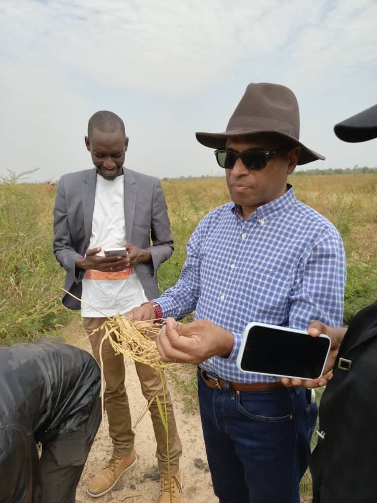 f7882355-765b-4439-ba47-b1474e6bbfd3